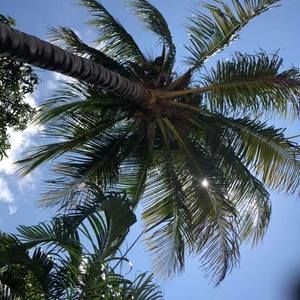 Meet your Posher, Steve